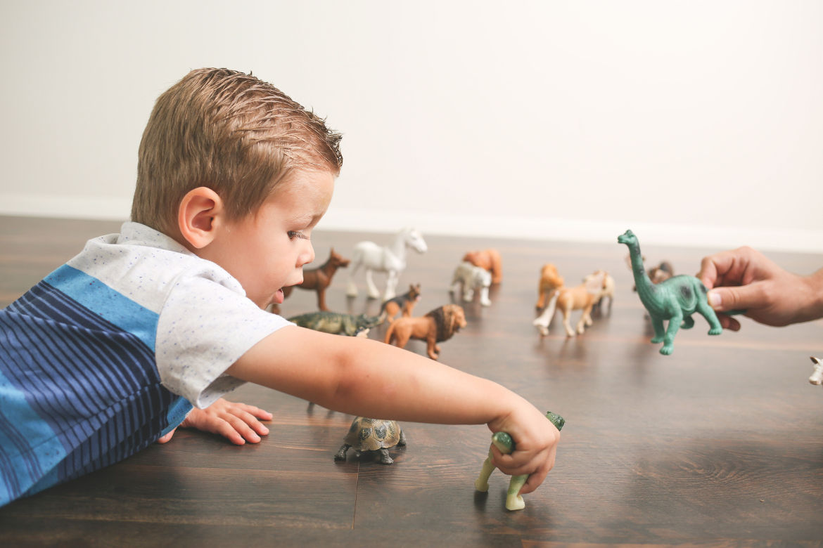 little boy playing with toy dinosaurs